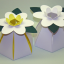 Flower Gift Box (PDF)