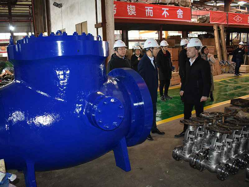 苗市长走访星空网官方端web站登录入口-星空(中国)集团